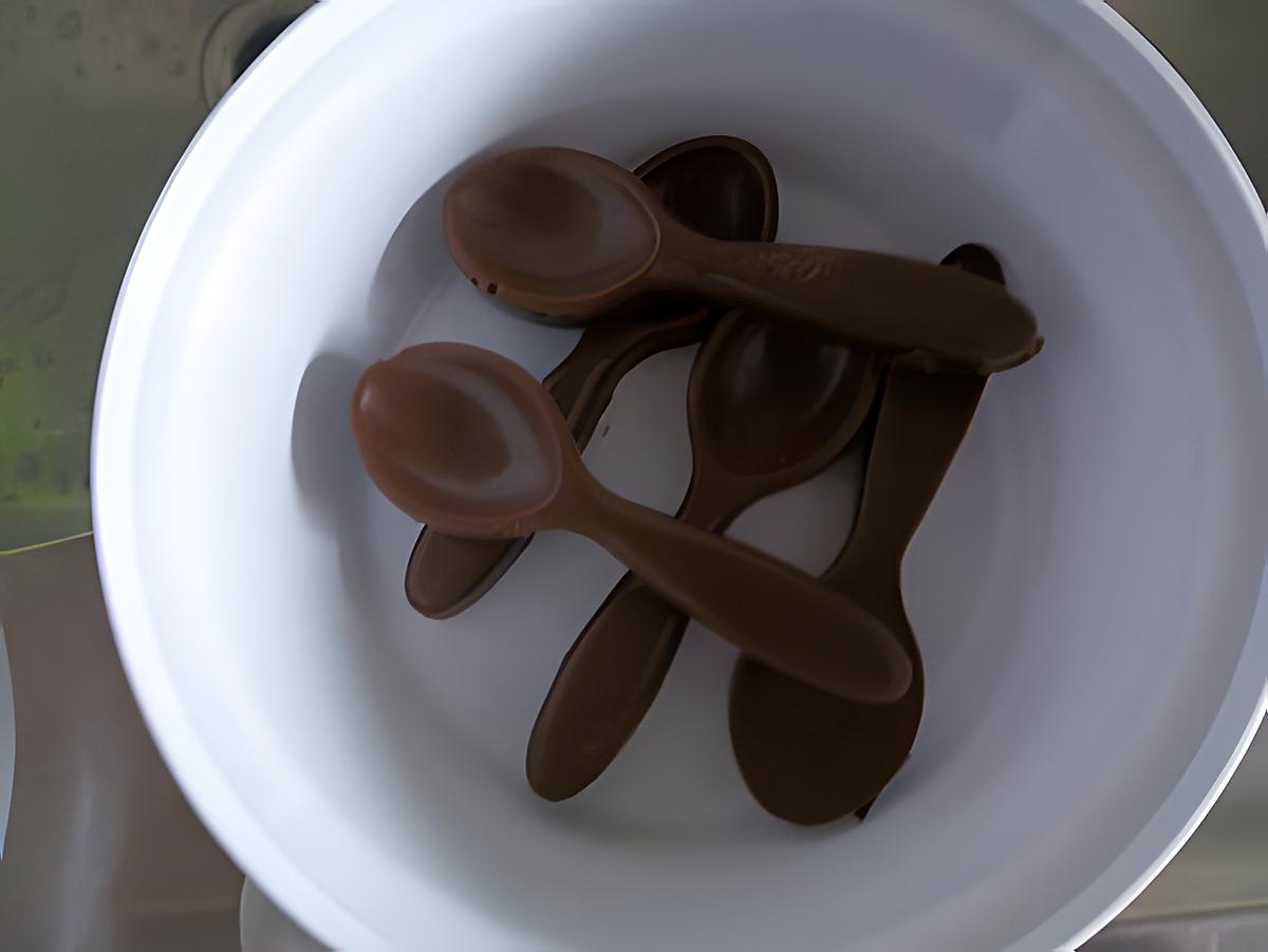 recette Chocolat en forme de cuillère