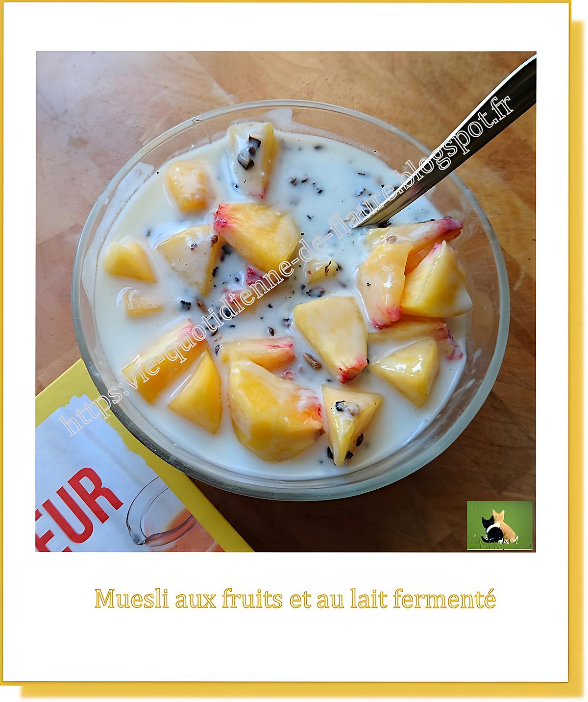 recette Muesli maison aux fruits et au lait fermenté