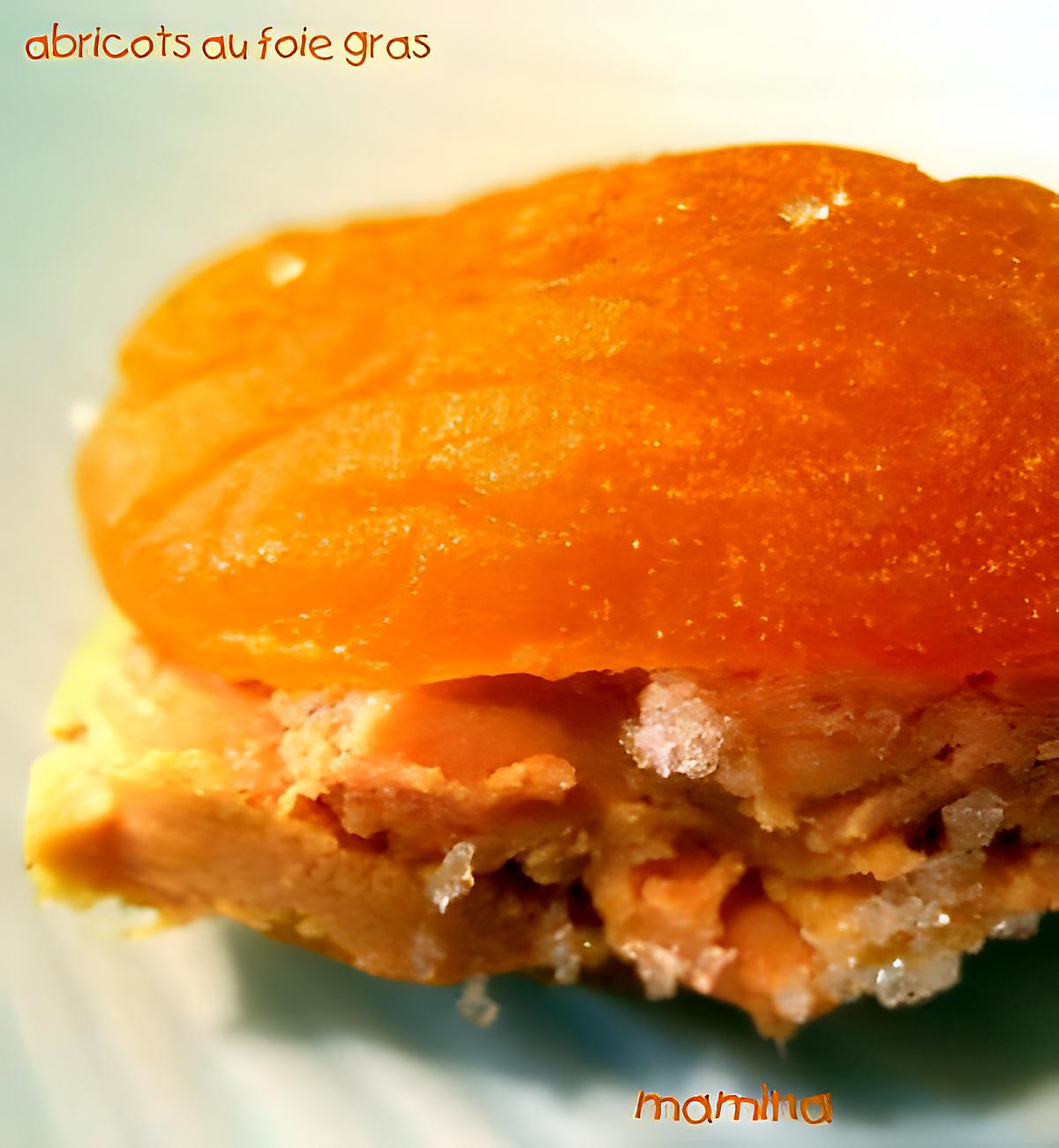 recette abricot au foie gras