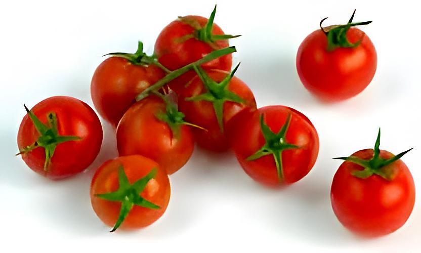 recette tomates cerises farcies au thon