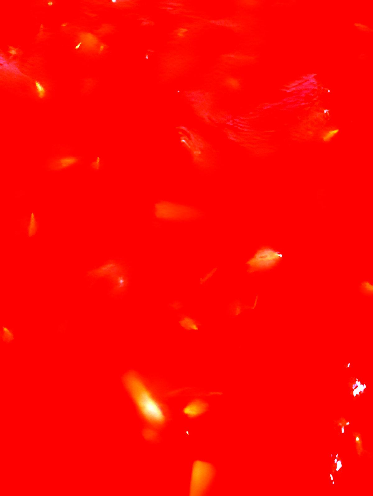 recette Sauce Tomate pour Pizza toute Simple