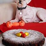 recette DÉLICIEUX AU CHOCOLAT