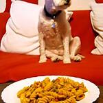 recette CALAMARS AUX PATES