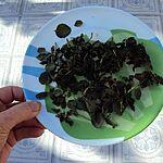 recette Sécher du basilic au MO