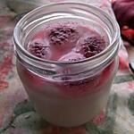 recette Yahourt fait maison