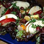 mangue;carottes : recette Salade de gésiers confits avec sa pomme et sa mangue au vinaigre balsamique aromatisé à l'écorce d'orange amère