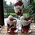recette Fraises Melba