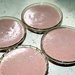 recette Crème à la framboise