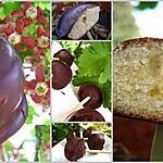 recette Bonbons biscuités au chocolat