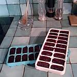 recette coulis de mures
