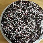 recette gateau vanille/chocolat un delice pour les enfants