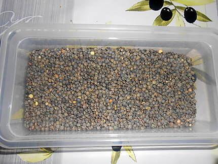 Mixte de viandes et lentilles 430