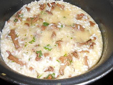 Risotto aux girolles 430