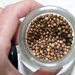recette La coriandre (plante aromatique)