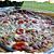 recette Ooo Clafoutis de poulet au légumes ooO