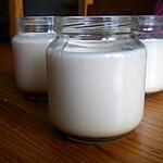 recette yaourt a la vanille sur lit de caramel