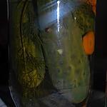 recette cornichons en conserve