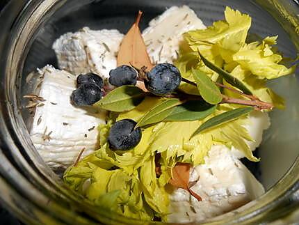 Petits bouchons de chèvre marinés 430