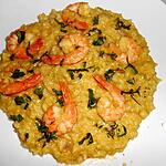 recette RISOTTO SAFRAN CREVETTES