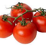 quiche : recette Quiche aux tomates