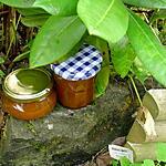 recette Confiture de mirabelles / vanille