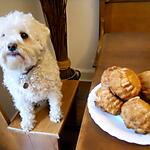 recette MINI KOUGLOFF RAPIDES
