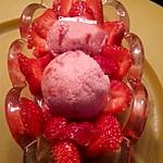 recette Crème glacée à la fraise, à la sorbetière (sans oeuf), spéculoos, chocolat, ..