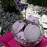 recette Glace maison aux fleurs de ma Lavande