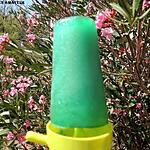 recette Glace à l'eau