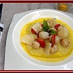 recette Risotto aux St Jacques et sauce Safran