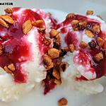 recette Yaourt glacé