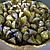 recette Tarte rustique santé aux figues blanches