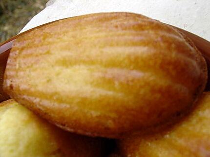 MADELEINES_de_C