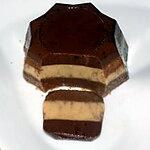 recette Pana cotta choco café (régime dukan)