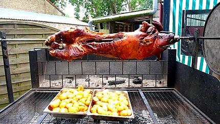 cochon