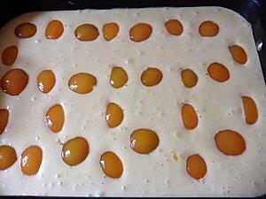 Gâteaux aux abricot