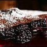 sauce : recette crepe au chocolat fondu si vous voulez de la farine