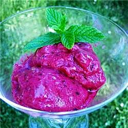 recette Sorbet aux fruits rouge