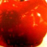 pommes : recette POMME  D'AMOUR