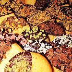 recette Palets Breton Décorés trés gourmands