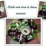 recette Salades mixte trévise aux noix de Pécan.