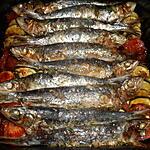 recette Tian de sardines aux courgettes et tomates
