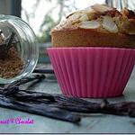 ** MUFFINS un brin RUSTIQUES Vanillés aux pépites de cranberries**