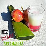 recette Se désaltérer : Jus Detox Aloe Vera Grenade (Thermomix ou pas)