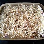 recette Gratin de fenouil