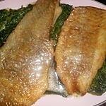 recette Filets de lieu noir à la florentine