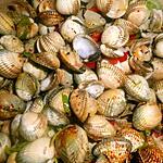 recette Coques au piment d espelette
