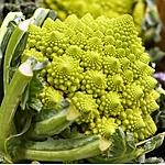 recette Gratin de choux romanesco façon hachi parmentier