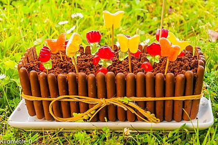 Photo de recette de gâteau, jardinière, chocolat, fleurs, fête, anniversaire, beau, Pâques, facile, rapide, Kilomètre-0, blog de cuisine réalisée à partir de produits locaux et issus de circuits courts