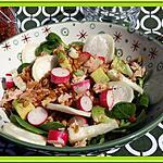 recette Salade de petit épeautre et radis
